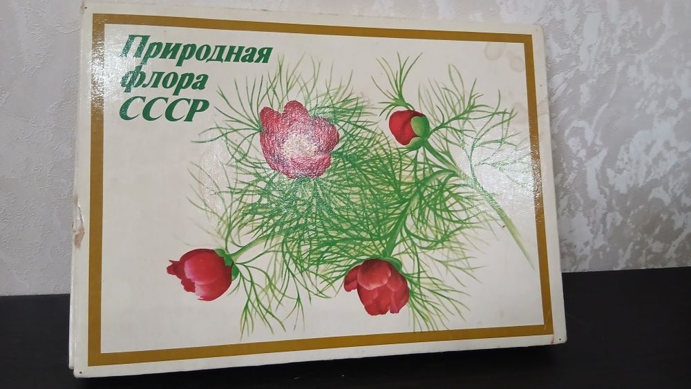 Набор спичек сувенирный