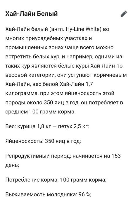 Хаммаси 100 % товук чикади. Цыплята несушки Хай-лайн жужалари Jojalar