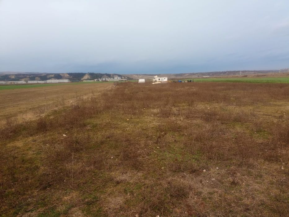 Vand teren intravilan 10.000mp