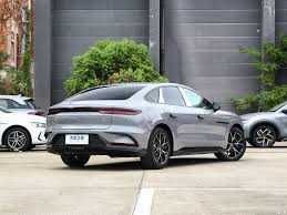 BYD han nasiya savdo