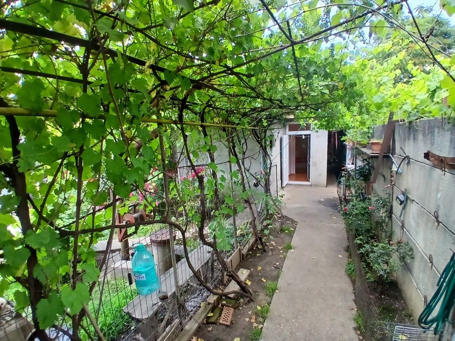 Casă de inchiriat