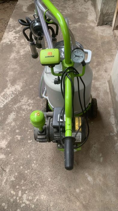 Yalangoch arab erkaklari