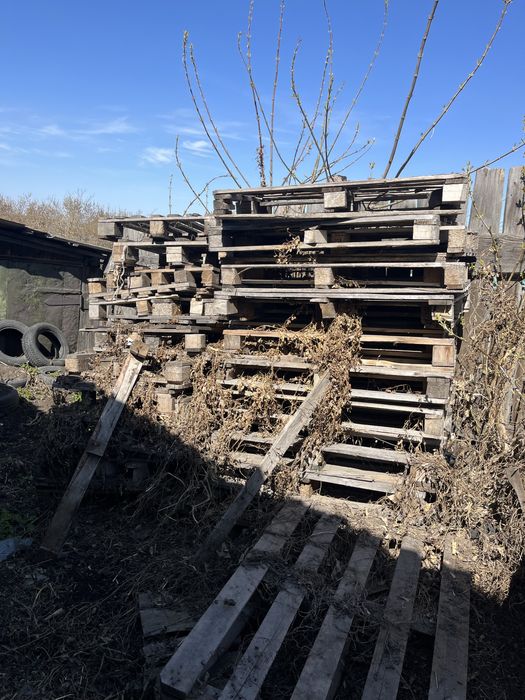 Продам поддоны по 1000