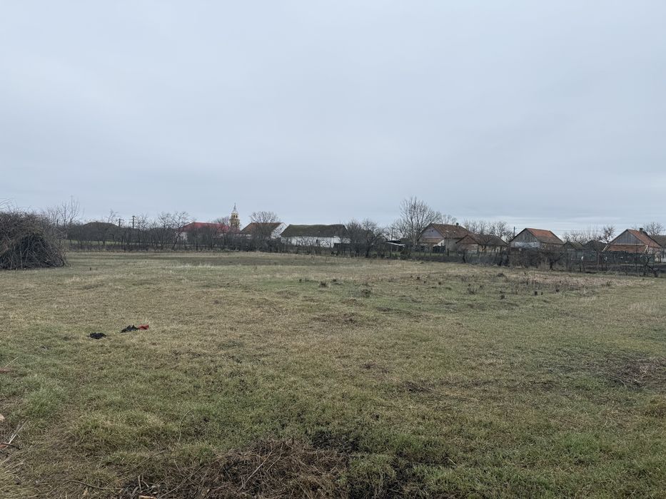 Teren intravilan 1300 mp, front stradal 24ml -Cerna (com. Liebling) –