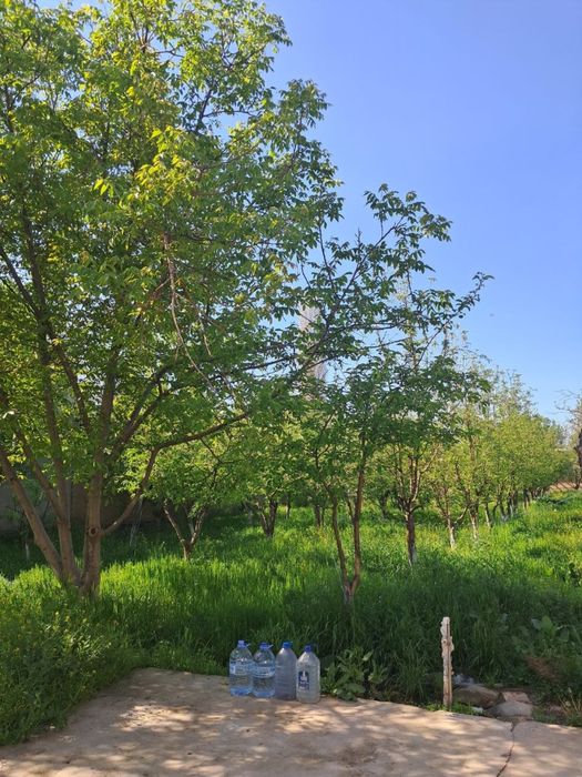 Arendaga uy hovli beriladi