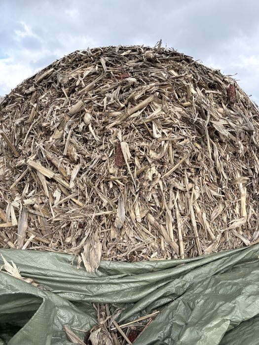 Baloți de tulei 40 de buc !!