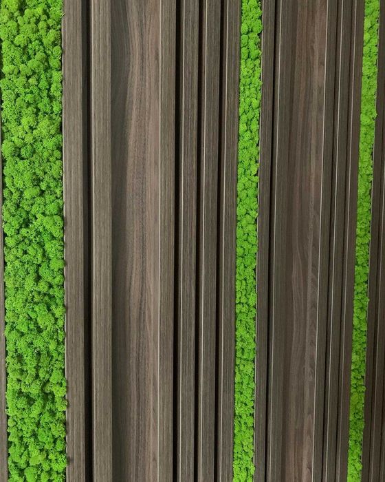 Designuri cu Licheni si muschi decorativi la comanda