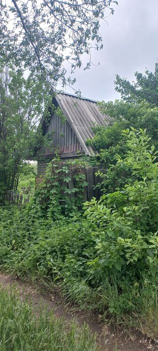 Продам дачу СО "ЭЛЕВАТОРЩИК "