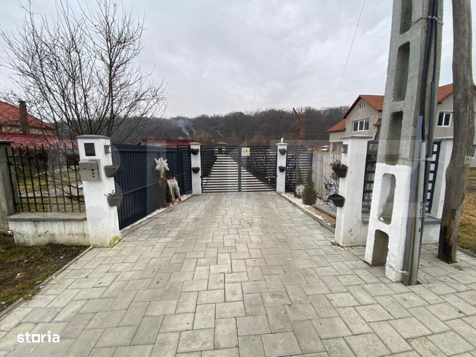 Casa individuala cu piscina, curte amenajata si afacere inclusa – Un