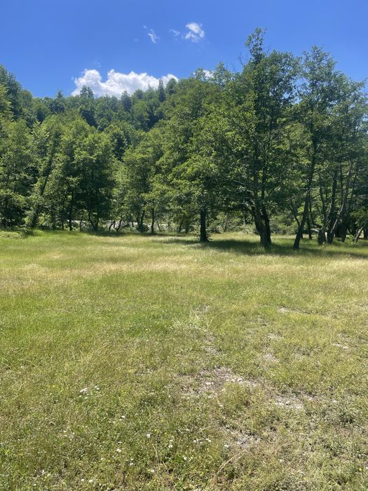 Teren intravilan in Brezoi, Valcea, Valea lui Stan