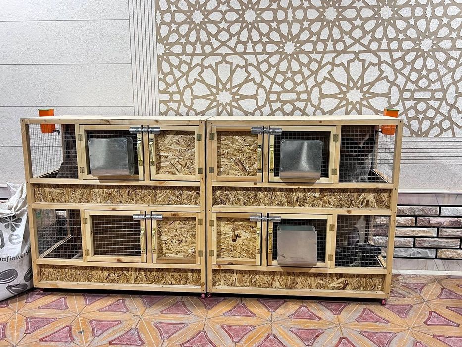 Quyon qafaslar zakasga