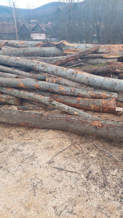 Lemn de foc esență tare sau diferite esențe cluj