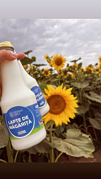 Lapte de măgăriță