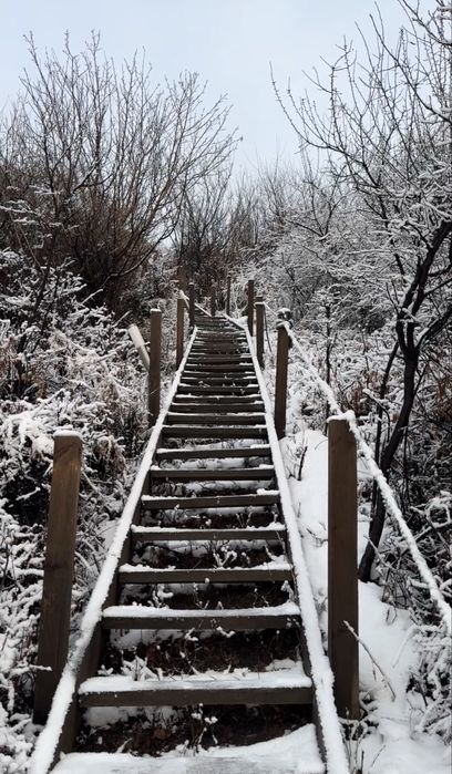 Уборка глэмпинг отеля
