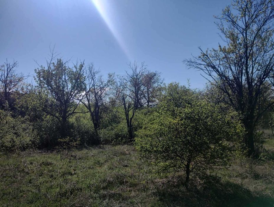 Продава се Парцел в София, Изток - 4600 кв.м за 3 €/кв.м - Снимка #4