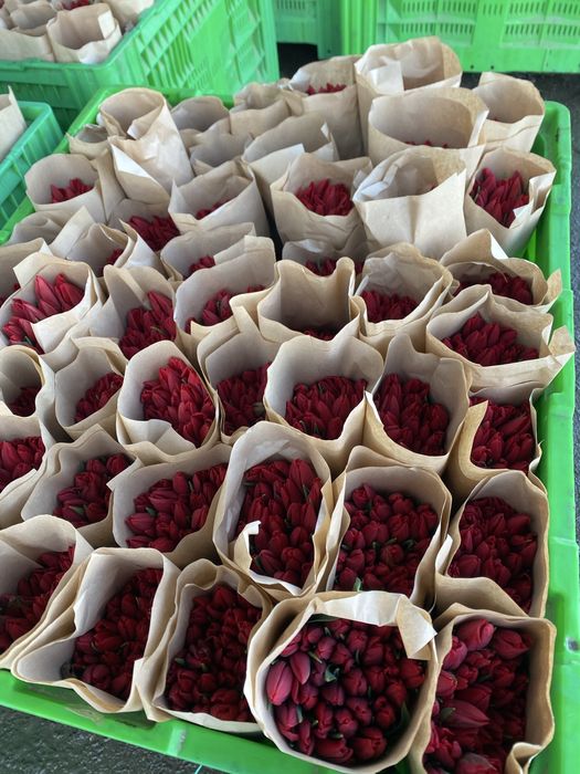 Оптом Астана самый крупный в астане