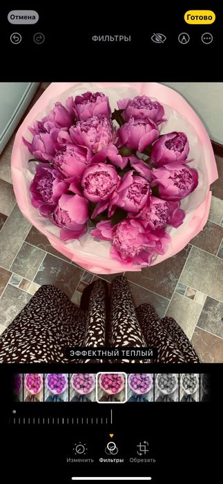 Цветы пионы 15 штук