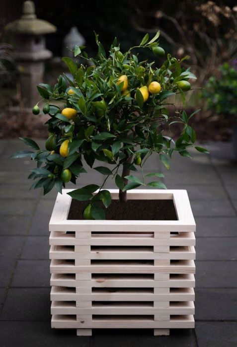 Подставка под цветы, полки, стеллажи, кашпо