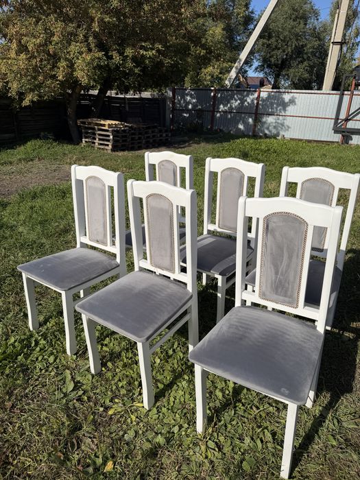Продам стулья  в хорошем состоянии