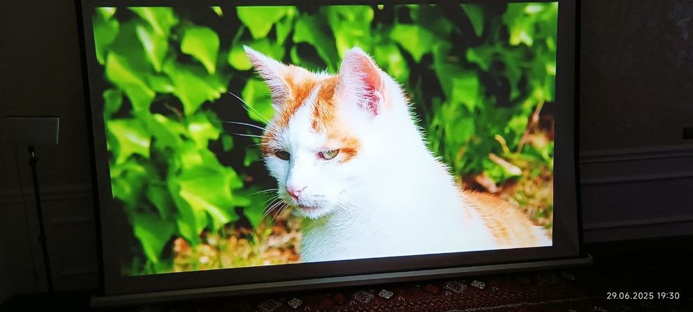 Проектор Voxflix M25 флагман