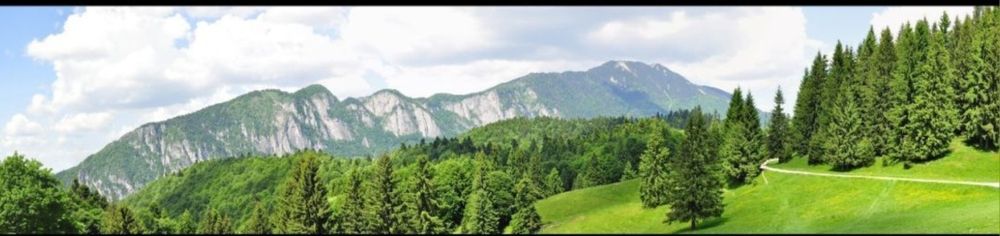 Teren Trei Brazi Predeal