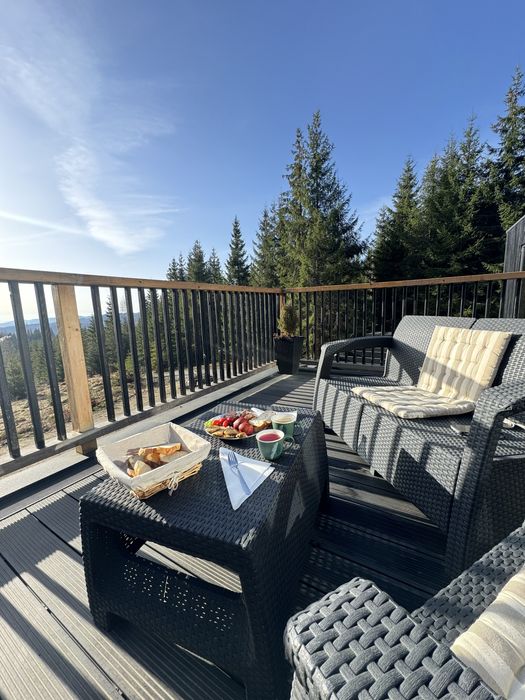 Cabana Merlin de inchiriat Baisoara  Muntele Baisorii Apuseni