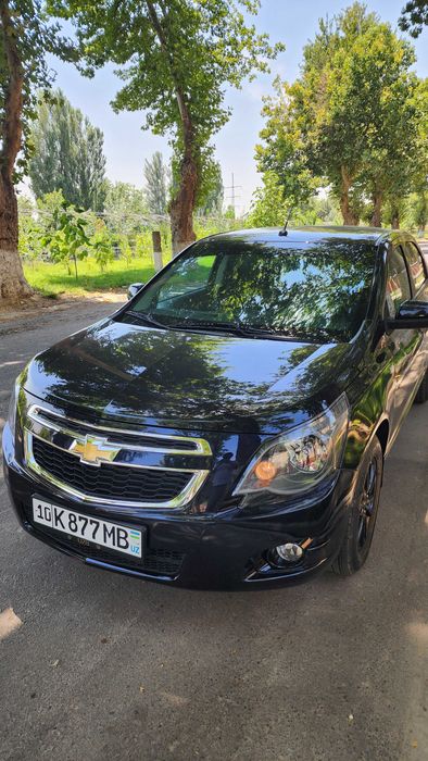 Cobalt midnight 2025