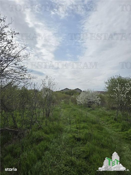 TEREN INTRAVILAN la 20 minute de Bucuresti