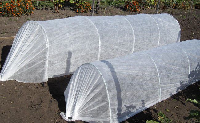 Оптовые Цены!! Агроволокно (Спанбонд) , Плотность от 30-60 гр/м