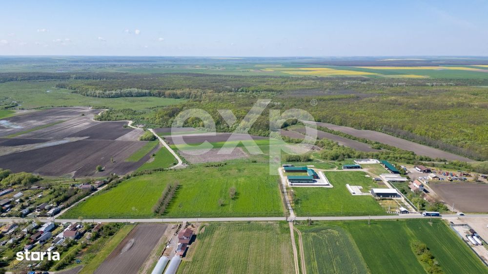 Black Angus Farm with authorized Slaughterhouse