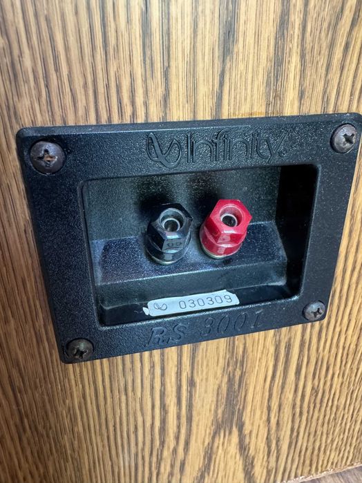 Тонколони Infinity RS 3001