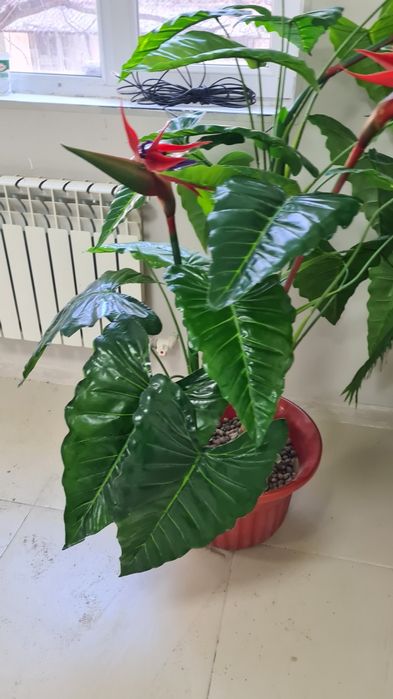 Искуственные цветы