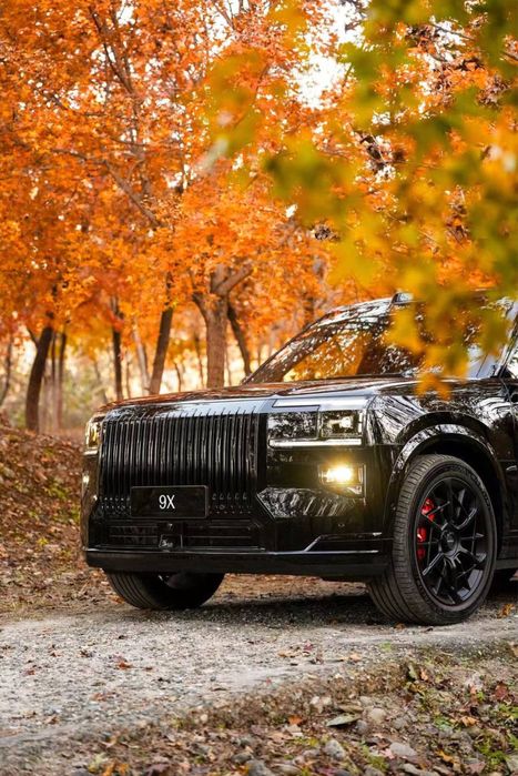 Zeekr X9 black edition dop opsia