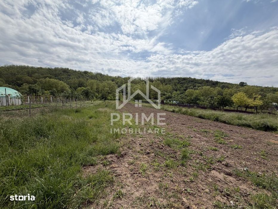 Teren Intravilan 3.514 mp | SAT CIUGUD | Oportunitate | TOATE UTILITAT