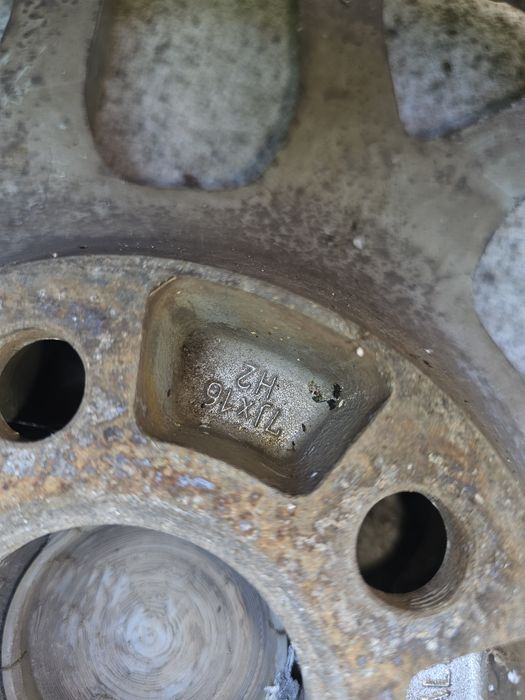 Джанти еленови рога