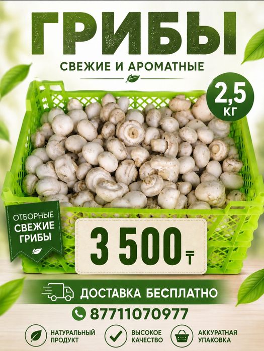 Продам свежие грибы