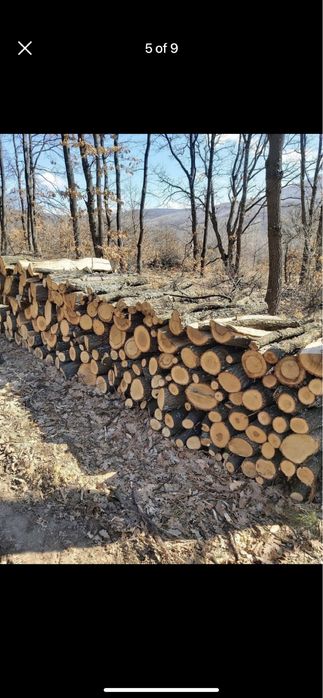 Дърва за огрев. Дъб и бук метровки