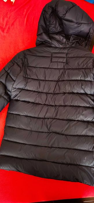 Jacheta matlasata zara