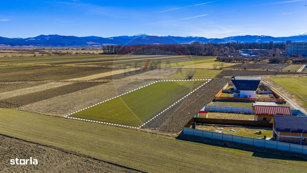 Teren investiție 3.700 mp – Prejmer/ Lunca Câlnicului/Comision 0