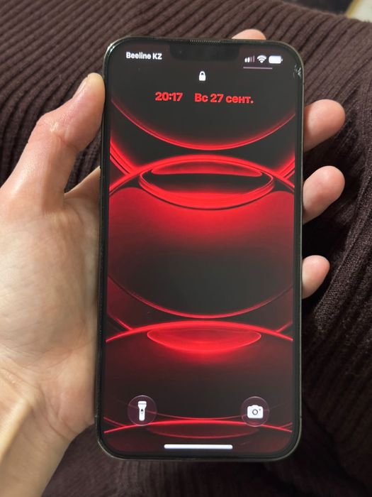 iPhone 13 Pro Max