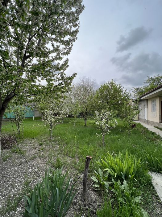 Продается участок 6 соток Зангиатинский район