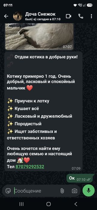 Отдам даром  кота