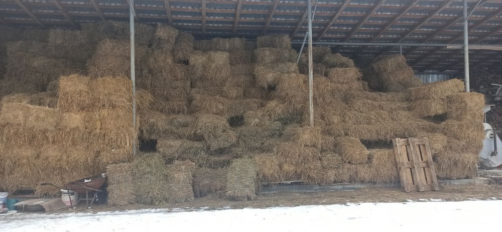 Baloți fân (otavă)