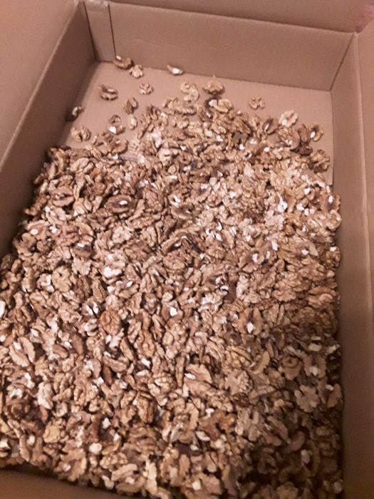 Nuci in coaja sau miez