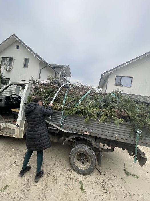 Ridicam resturi vegetale plus altlee