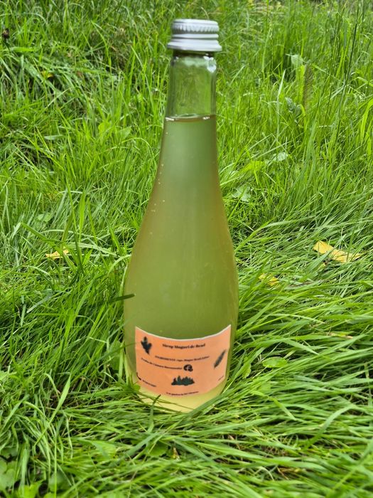 Siropuri  de Soc,Brad,Coacaze