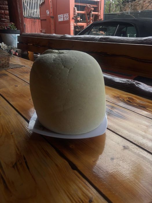 Caș oaie de vanzare