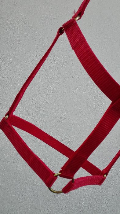 capastru ECVIDEE/BOVINE | art. economy, lucrat din fibre ⟣GARANTIE ⁴⁸