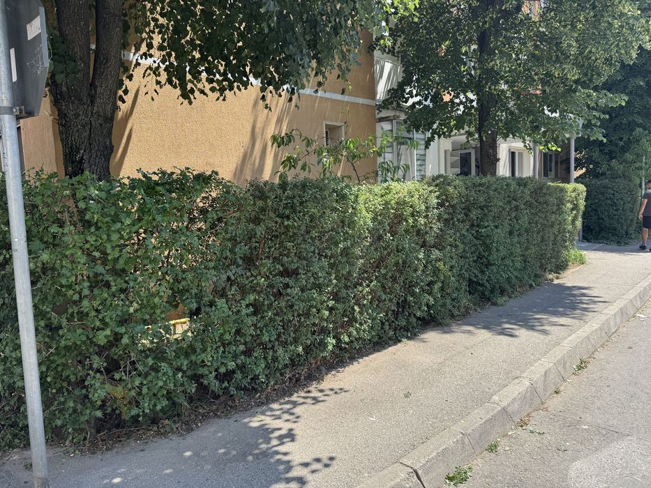 Oferim servicii de întreținere spații verzi, curți și grădini  în Sibiu  și împrejurimi.