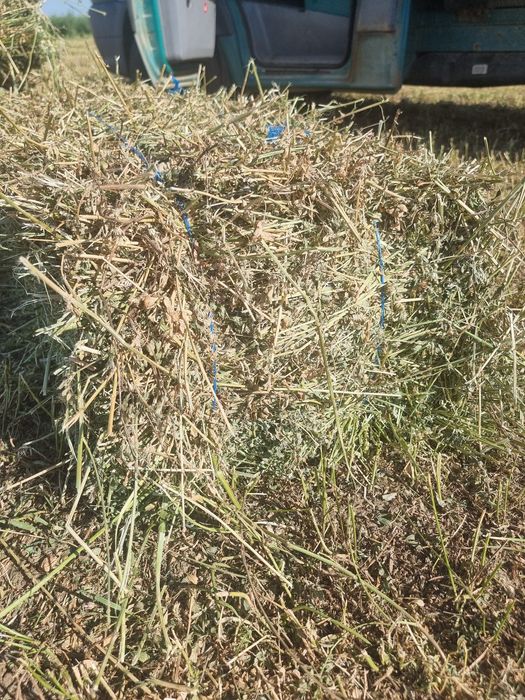 Baloti de lucerna trifoi